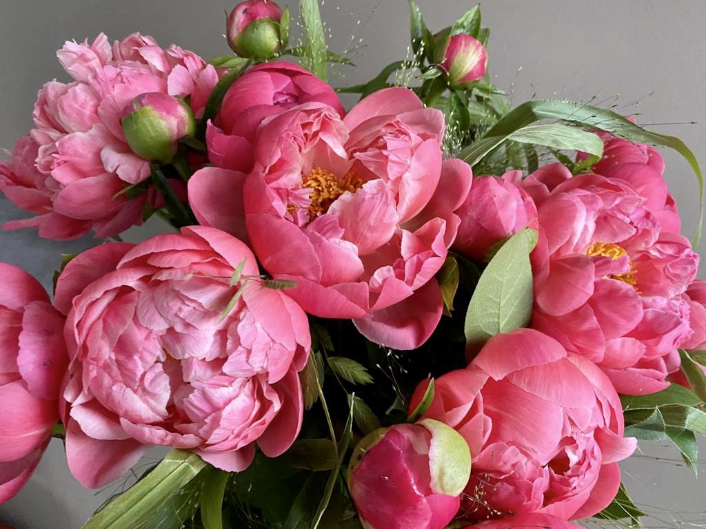 <h2>Het is weer Pioenenseizoen</h2><div class='slide-content'>Haal kleur in huis!</div><a href='https://bloemenpaleisbeukenhof.nl/product/pioenen-pracht/' class='btn' title='SHOP→'>SHOP→</a>