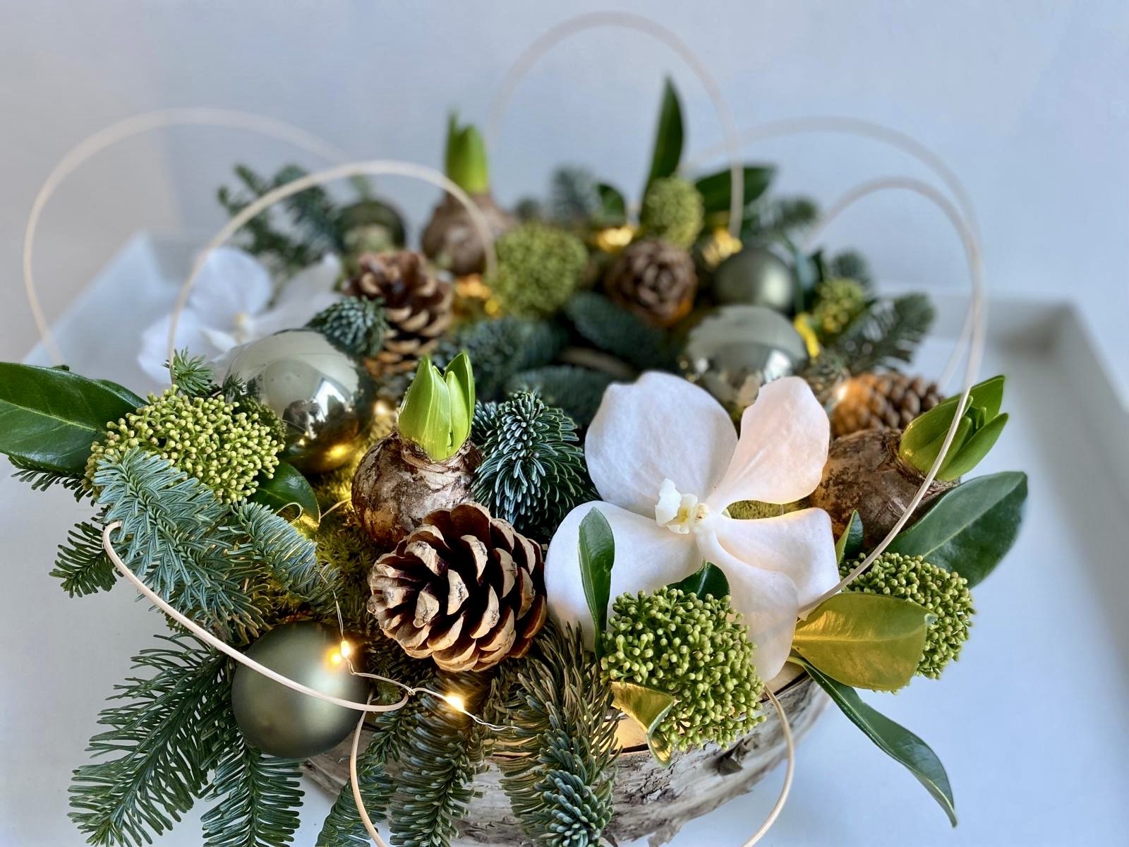 <h2></h2><div class='slide-content'>Maak Kerst mooier✨</div><a href='https://bloemenpaleisbeukenhof.nl/product/winterlicht/' class='btn' title='Winterlicht→'>Winterlicht→</a>