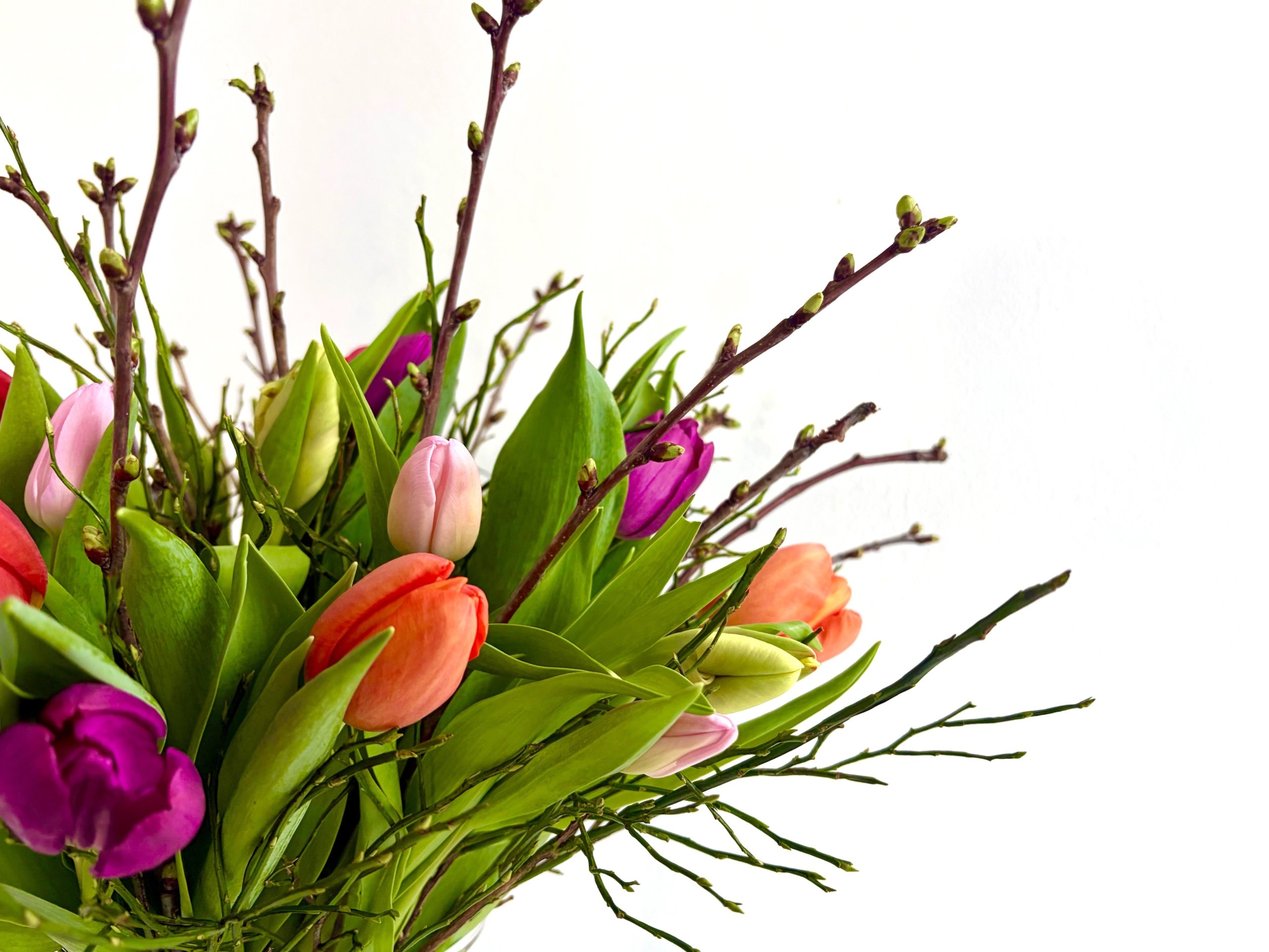 <h2>Tulpentijd</h2><div class='slide-content'>Haal kleur in huis!</div><a href='https://bloemenpaleisbeukenhof.nl/product/kleurrijke-lente/' class='btn' title='SHOP→'>SHOP→</a>