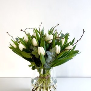 Witte Voorjaarspracht