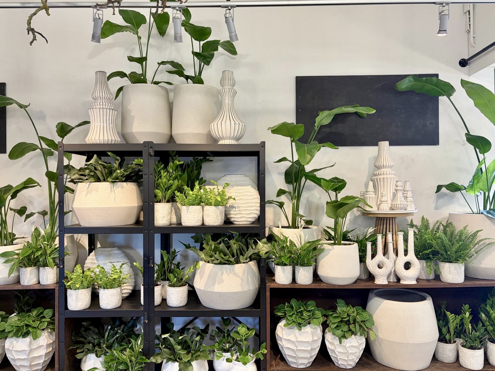 <h2>Dag boom, welkom plant!</h2><div class='slide-content'>Maak het binnen gezellig met onze potten en planten</div>