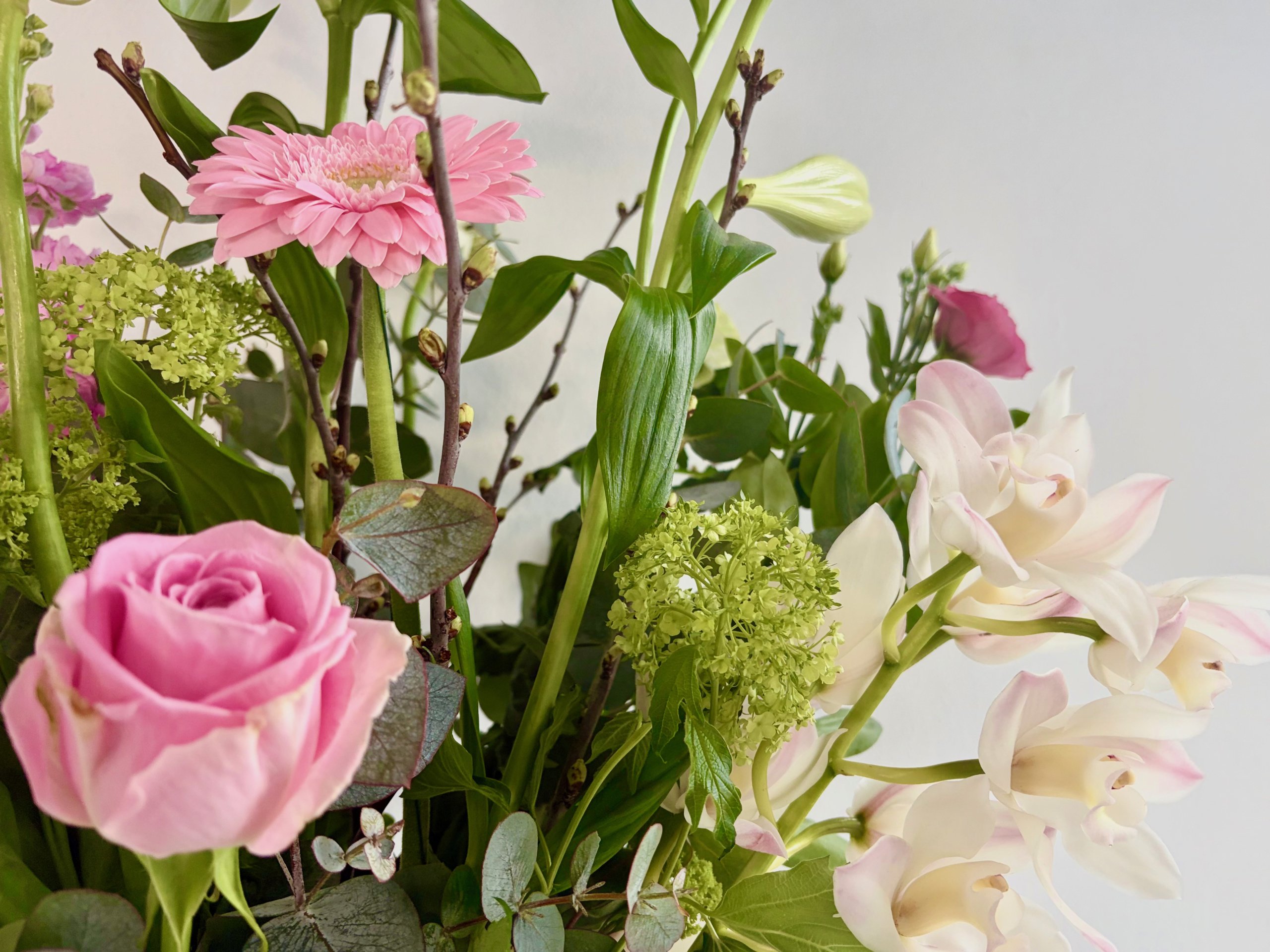 <h2>Voor de liefste Moeder..</h2><div class='slide-content'>Verras jouw Moeder deze Moederdag met een van onze prachtige arrangementen.</div><a href='https://bloemenpaleisbeukenhof.nl/product/voor-de-allerliefste/' class='btn' title='BESTEL NU→'>BESTEL NU→</a>