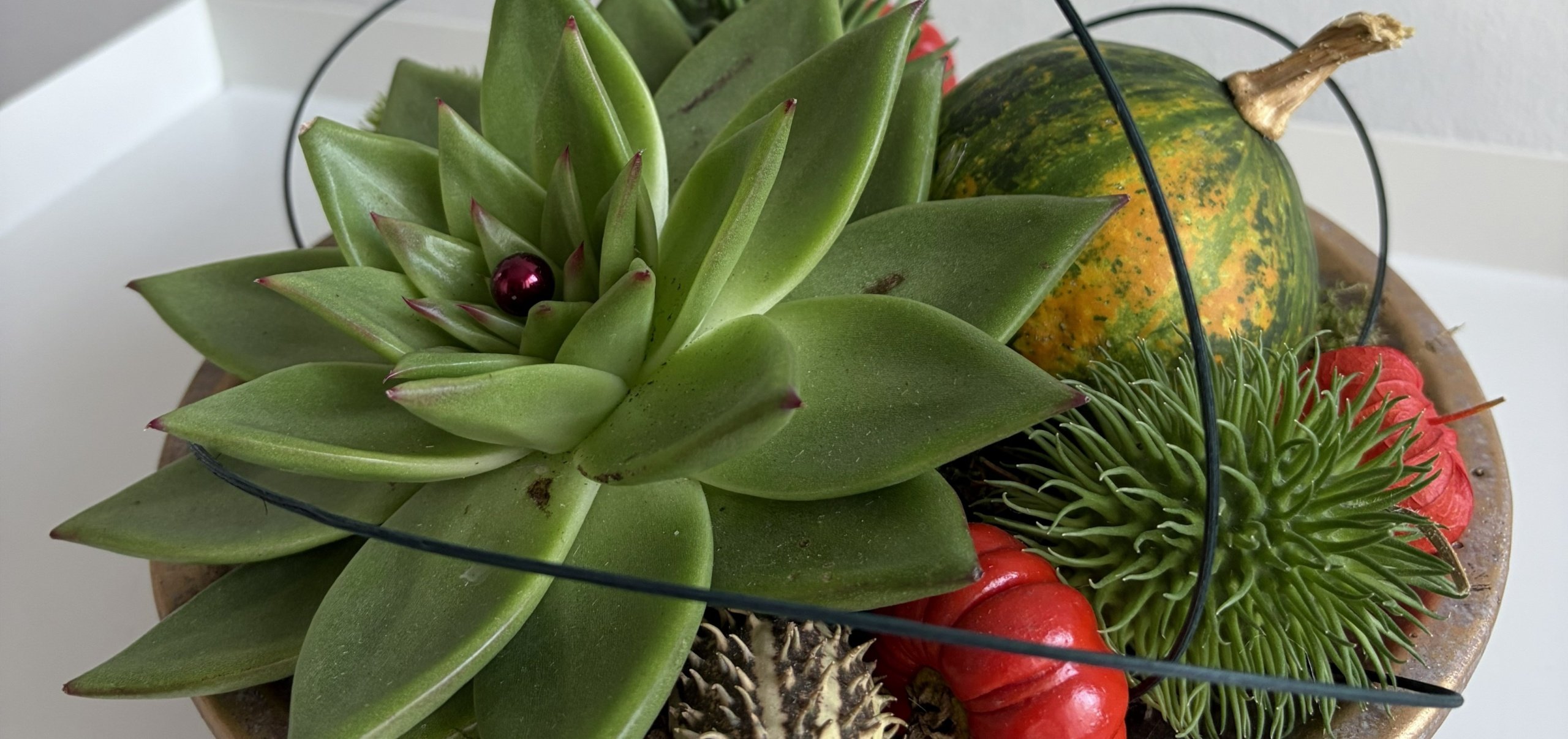 <h2>Herfstarrangement laten bezorgen?</h2><div class='slide-content'>Bestel eenvoudig via onze webshop.</div><a href='https://bloemenpaleisbeukenhof.nl/product-categorie/arrangementen/' class='btn' title='Bestel hier →'>Bestel hier →</a>