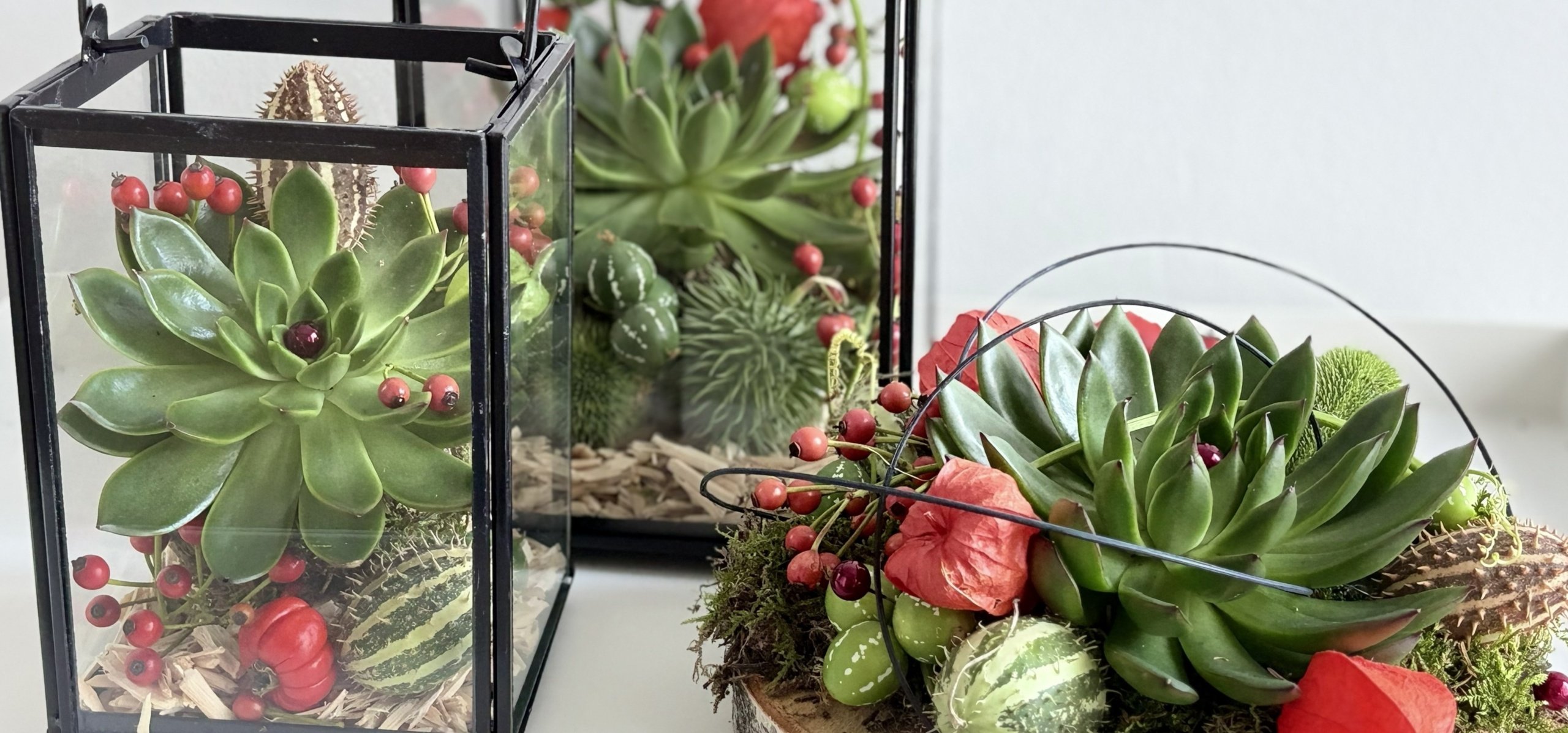 <h2>Herfst Collectie </h2><div class='slide-content'>Ontdek onze webshop voor de mooiste Boeketten, Bloemstukken & Arrangementen van deze herfst</div><a href='https://bloemenpaleisbeukenhof.nl/winkel/' class='btn' title='Bestel hier →'>Bestel hier →</a>