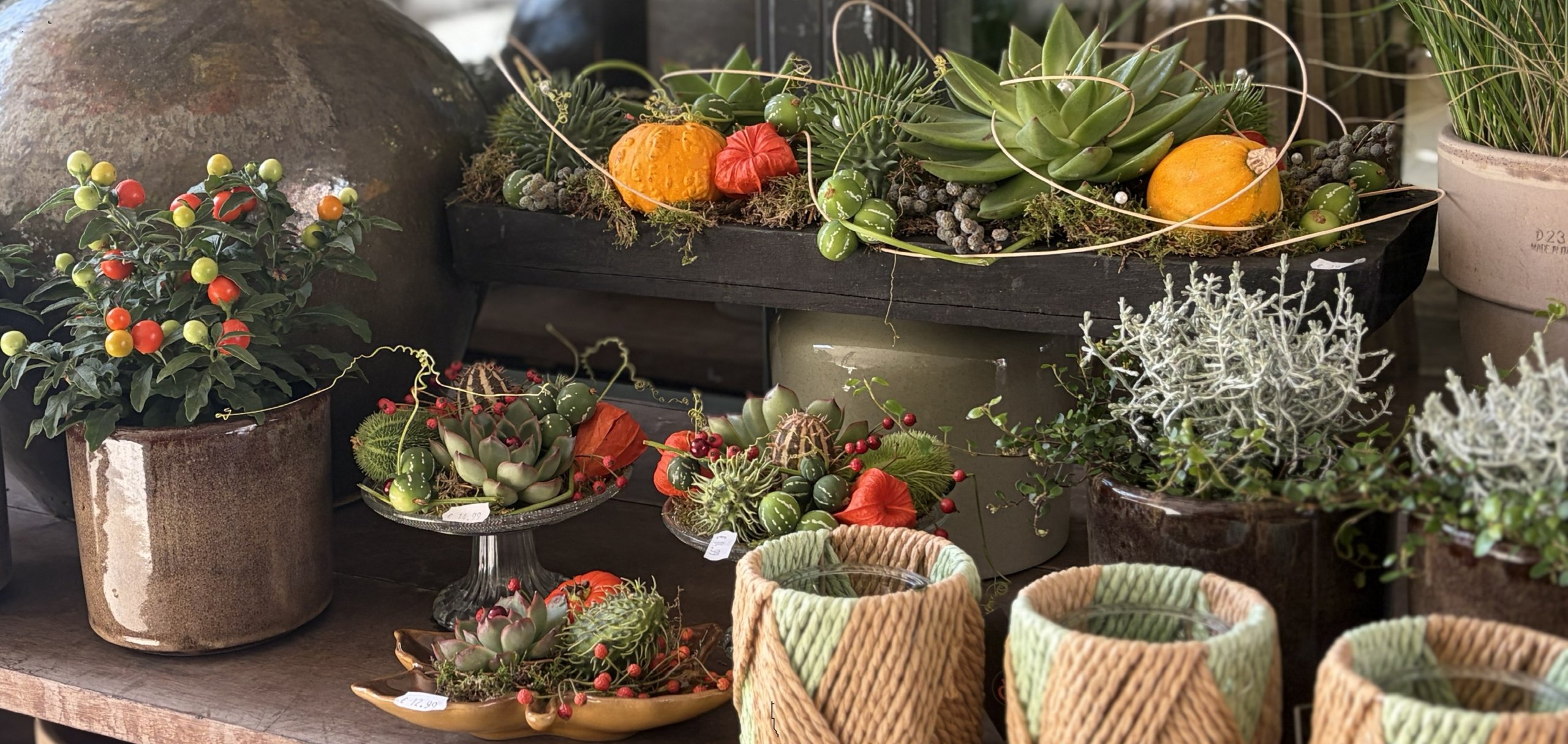 <h2>Kom gezellig langs in de winkel..</h2><div class='slide-content'>En ontdek onze herfstarrangementen! </div><a href='https://bloemenpaleisbeukenhof.nl/contact/' class='btn' title='Bekijk hier →'>Bekijk hier →</a>